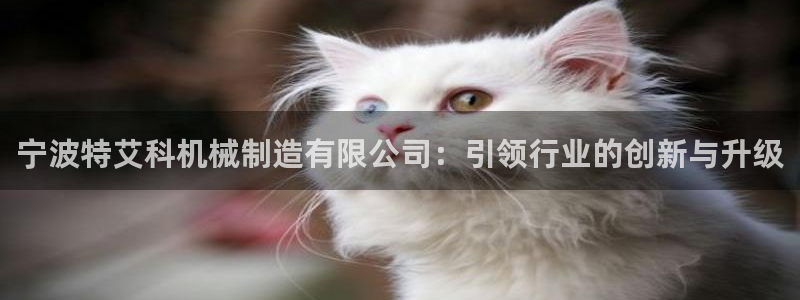 摩根娱乐宝机怎么玩