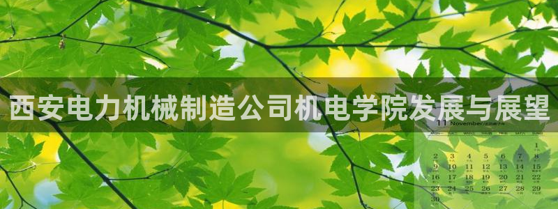 摩根国际娱乐宝在哪里