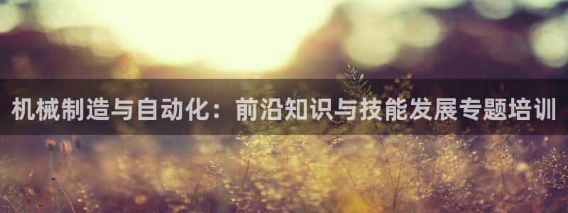 摩根娱乐 实c力77310