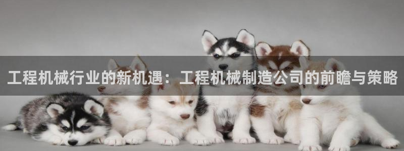 摩根娱乐是什么