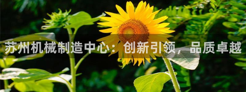 摩根娱乐宝怎么进入