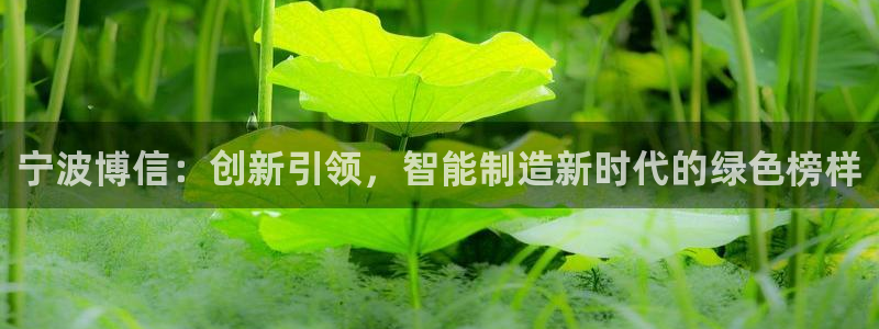 摩根娱乐金光