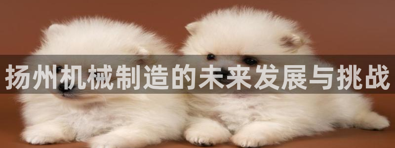华视娱乐摩根王琛