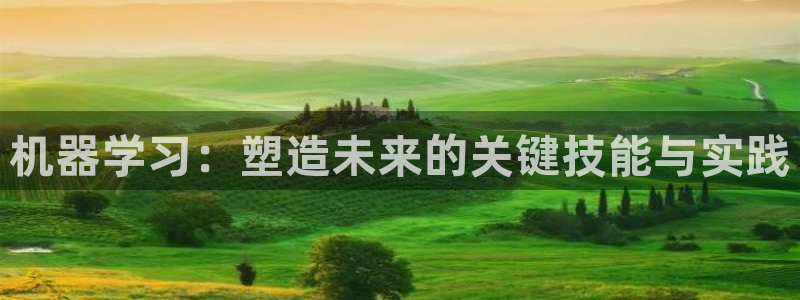 泉州摩根娱乐