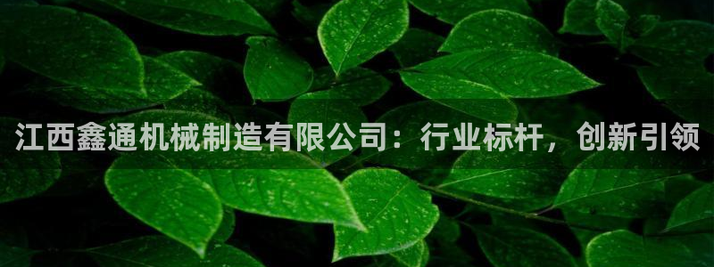 摩根娱乐创始人