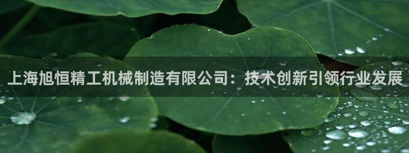 摩根娱乐挂机项目是什么
