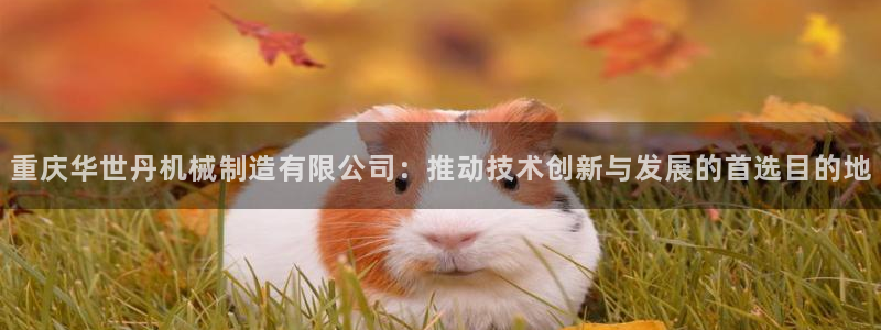 摩根娱乐宝吧
