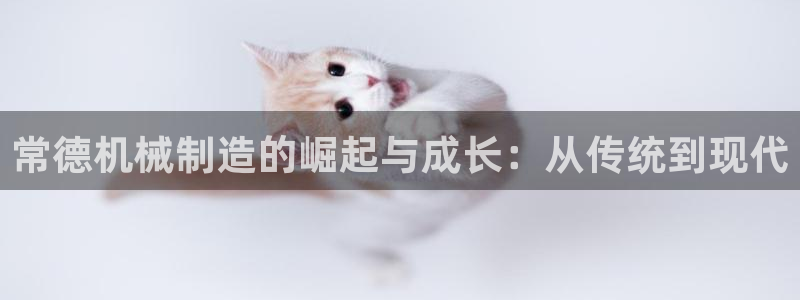 摩根娱乐宝-
