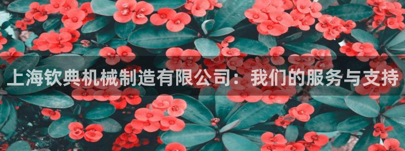 摩根娱乐宝.知道吗