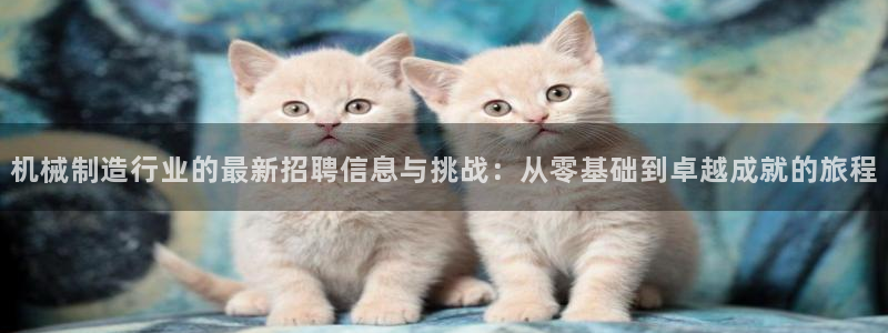 摩根娱乐宝的代理方式