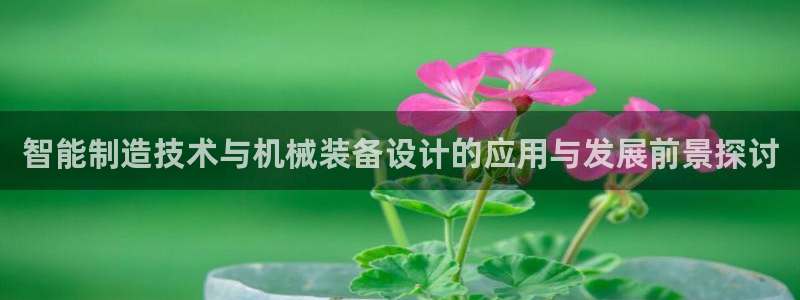 摩根会娱乐会所