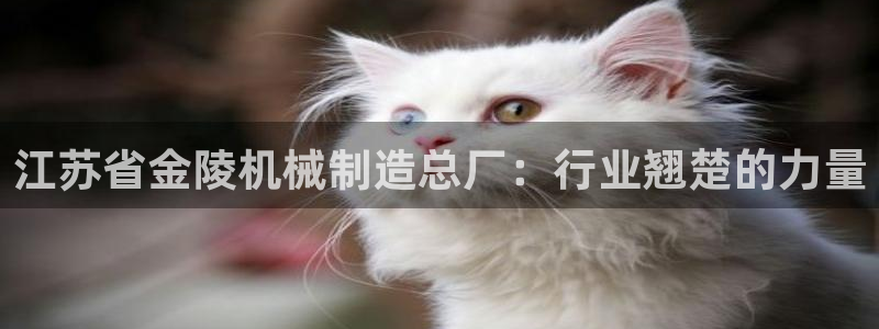 深圳摩根时代娱乐公司