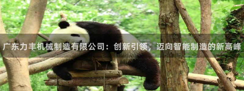 摩根娱乐宝是真的吗