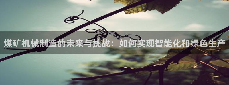 摩根娱乐宝总部