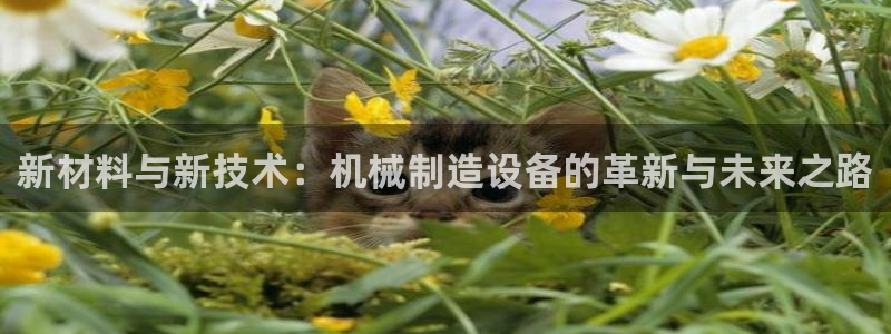 摩根娱乐会所电话