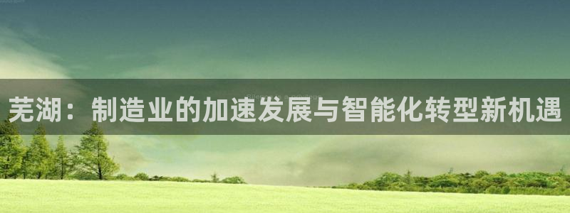 摩根娱乐开户 总s管50015