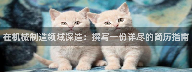 摩根娱乐_ c招a商77130