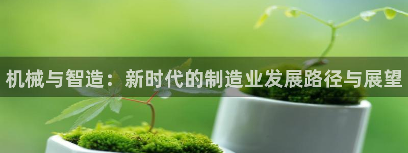 摩根娱乐1老H板50820