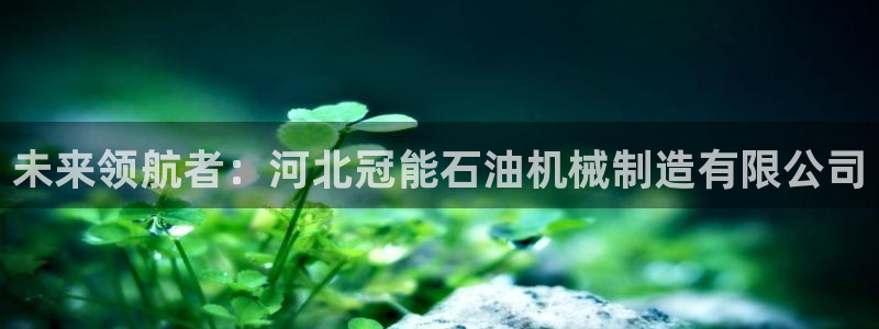 摩根娱乐这个平台怎么样