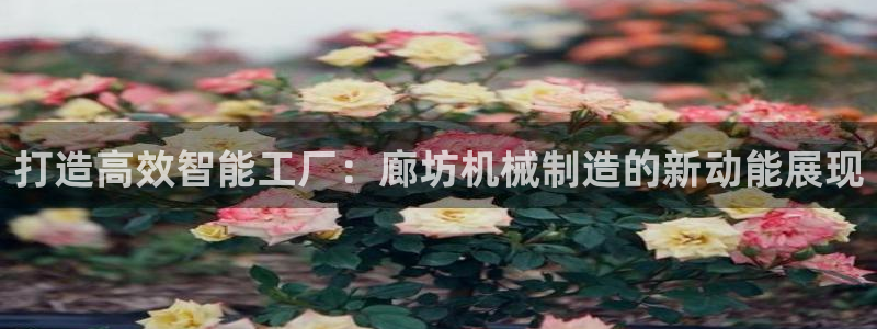 摩根娱乐宝 怎么样