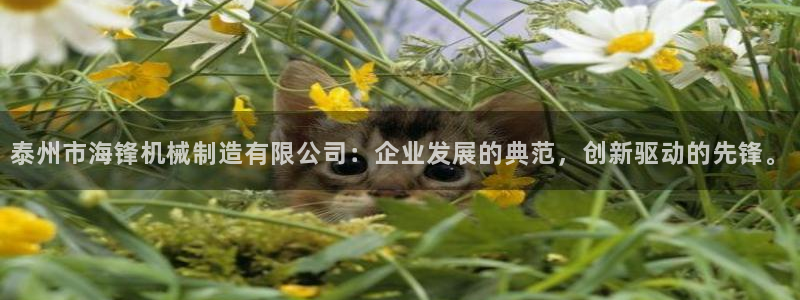义乌市摩根娱乐会所招聘