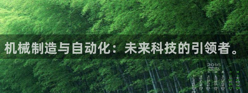 摩根国际娱乐