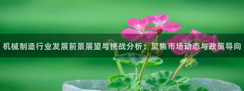 摩根娱乐50186夂