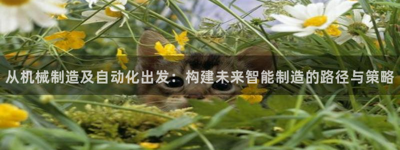 摩根娱乐dj