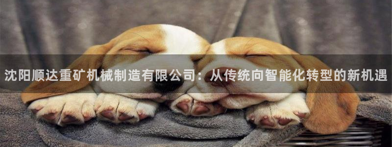 摩根娱乐宝老上不去啊