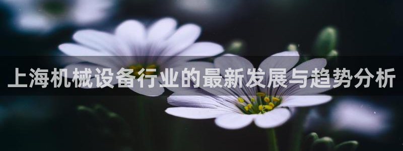 摩根会娱乐会所