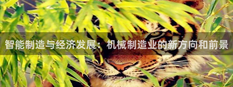 摩根娱乐1老o板50820