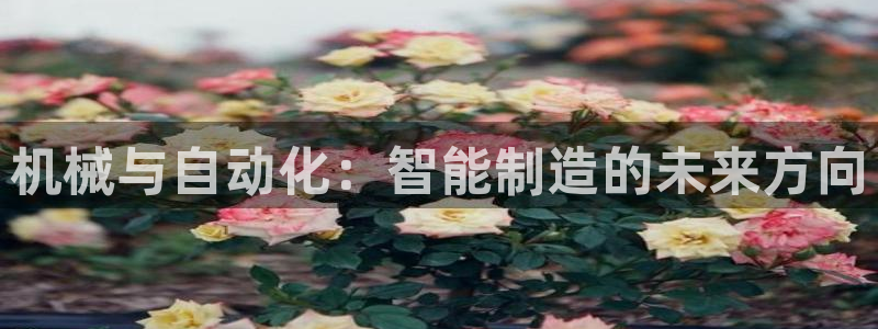 摩根娱乐骗局