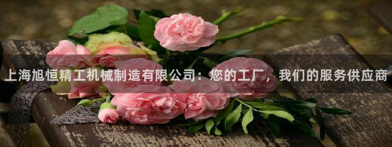 摩根娱乐百家号