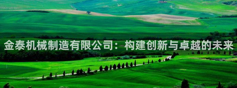 摩根娱乐金光