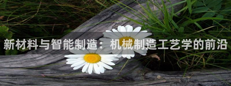 摩根合约娱乐宝