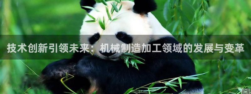 嘉兴摩根大饭店 娱乐