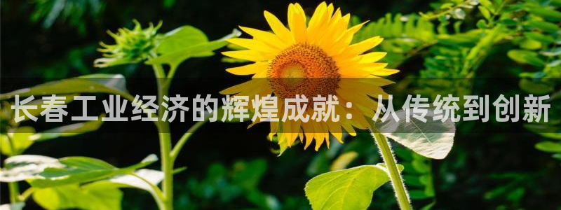 摩根娱乐云挂机是真的嘛