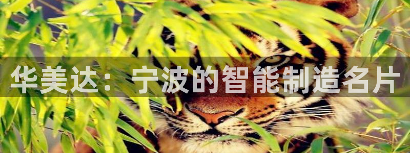 南阳市摩根娱乐