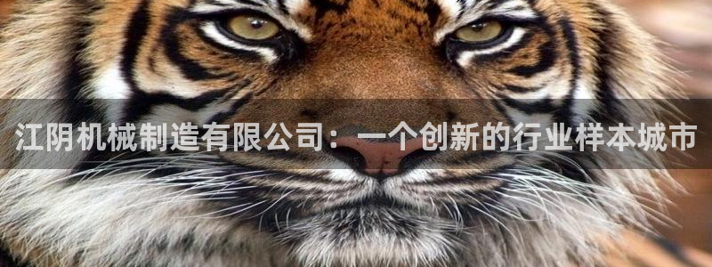 摩根娱乐¤股s东50015