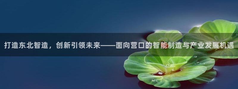 重生娱乐人生莉莉丝摩根