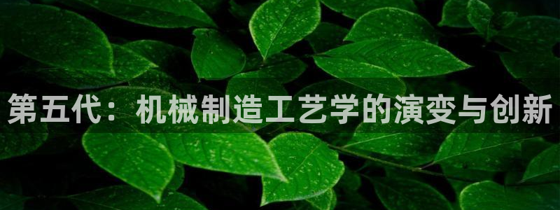 摩根娱乐dj