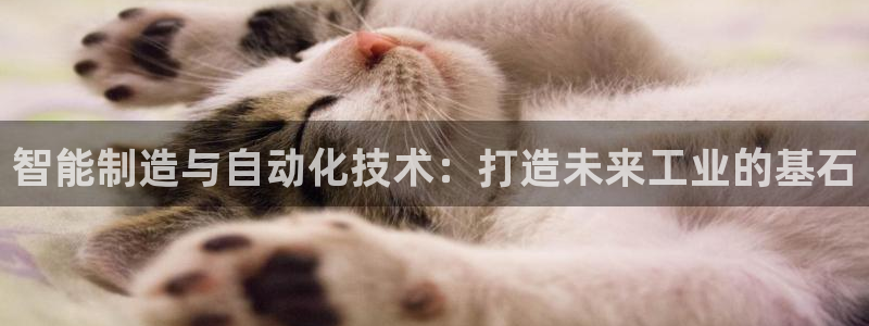 摩根娱乐宝可靠吗