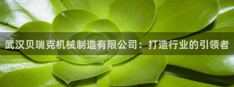 摩根娱乐宝平台下载