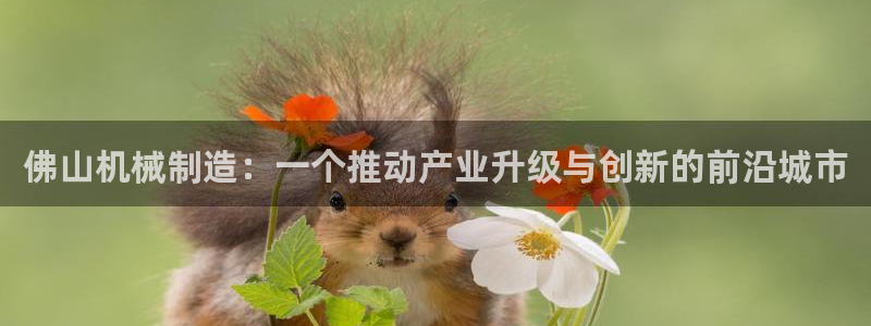 摩根娱乐登录入口网站