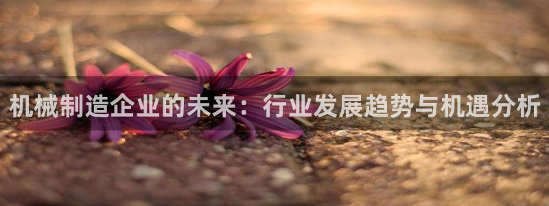 摩根娱乐是骗局吗