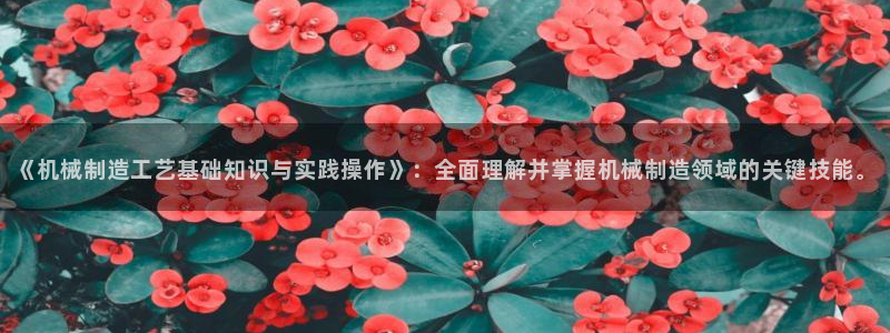摩根娱乐50186联系