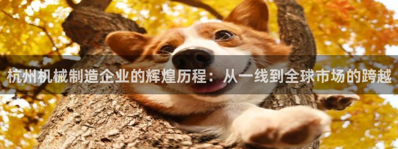 摩根娱乐视频大全