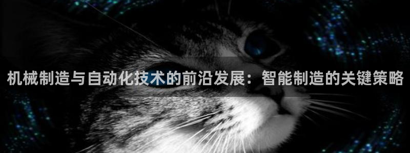 摩根娱乐是骗局吗