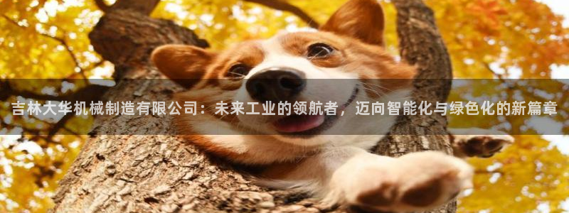 香港摩根娱乐