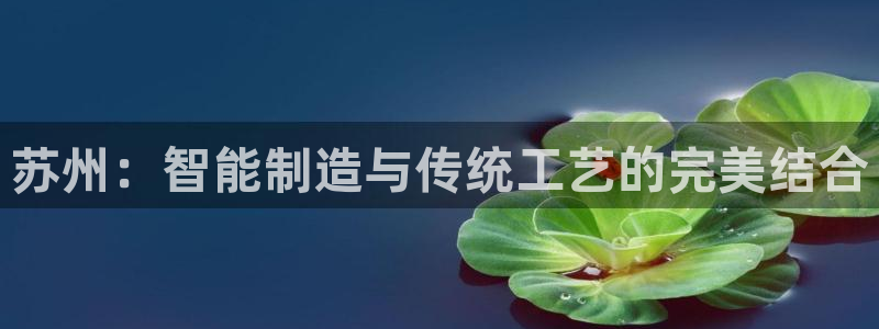 摩根娱乐宝 知道吗